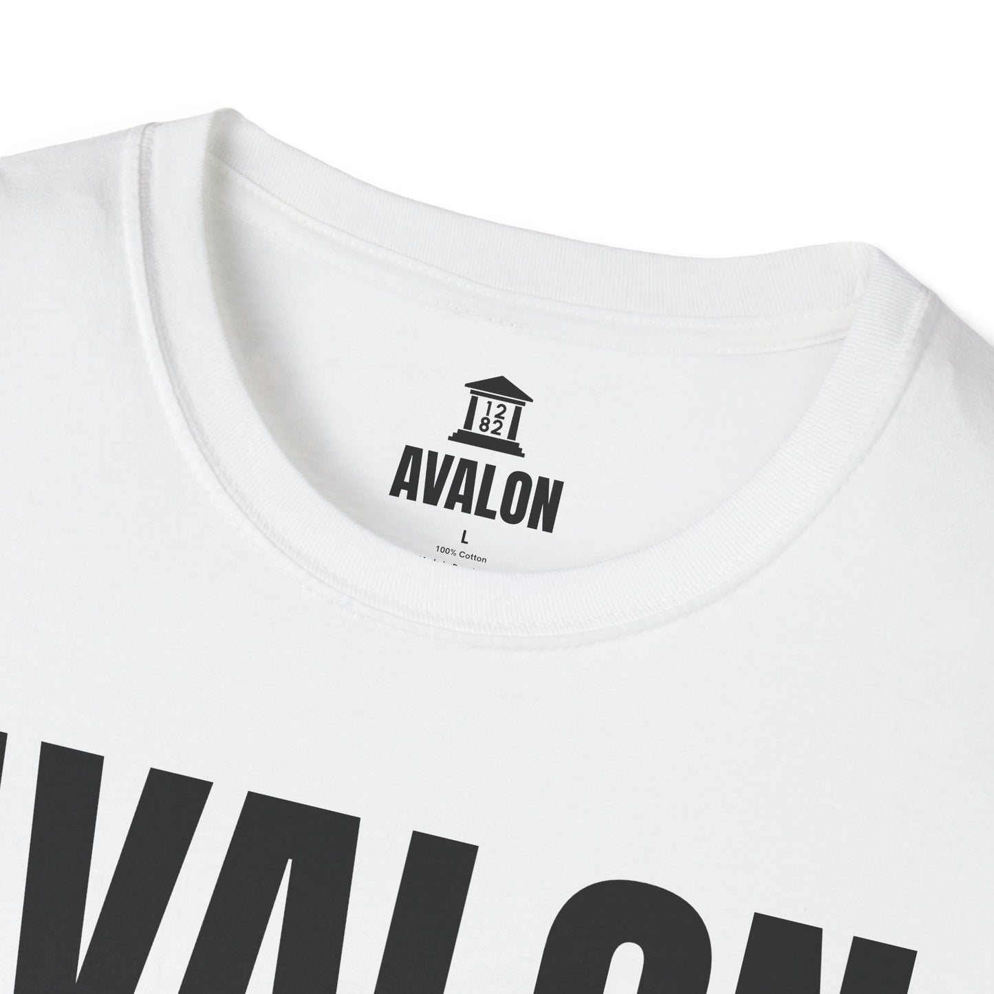 Blind Side Promo Shirt