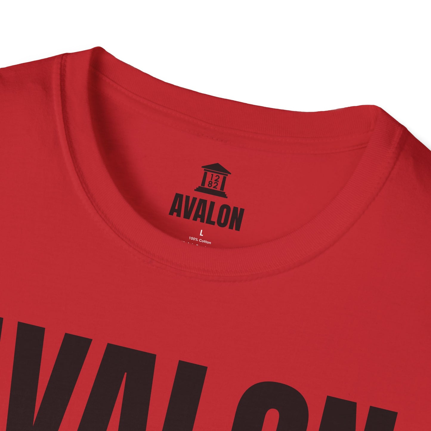 Blind Side Promo Shirt