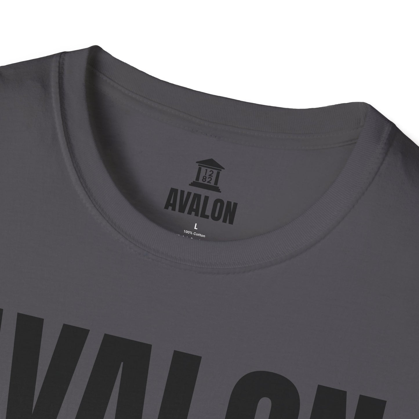 Blind Side Promo Shirt