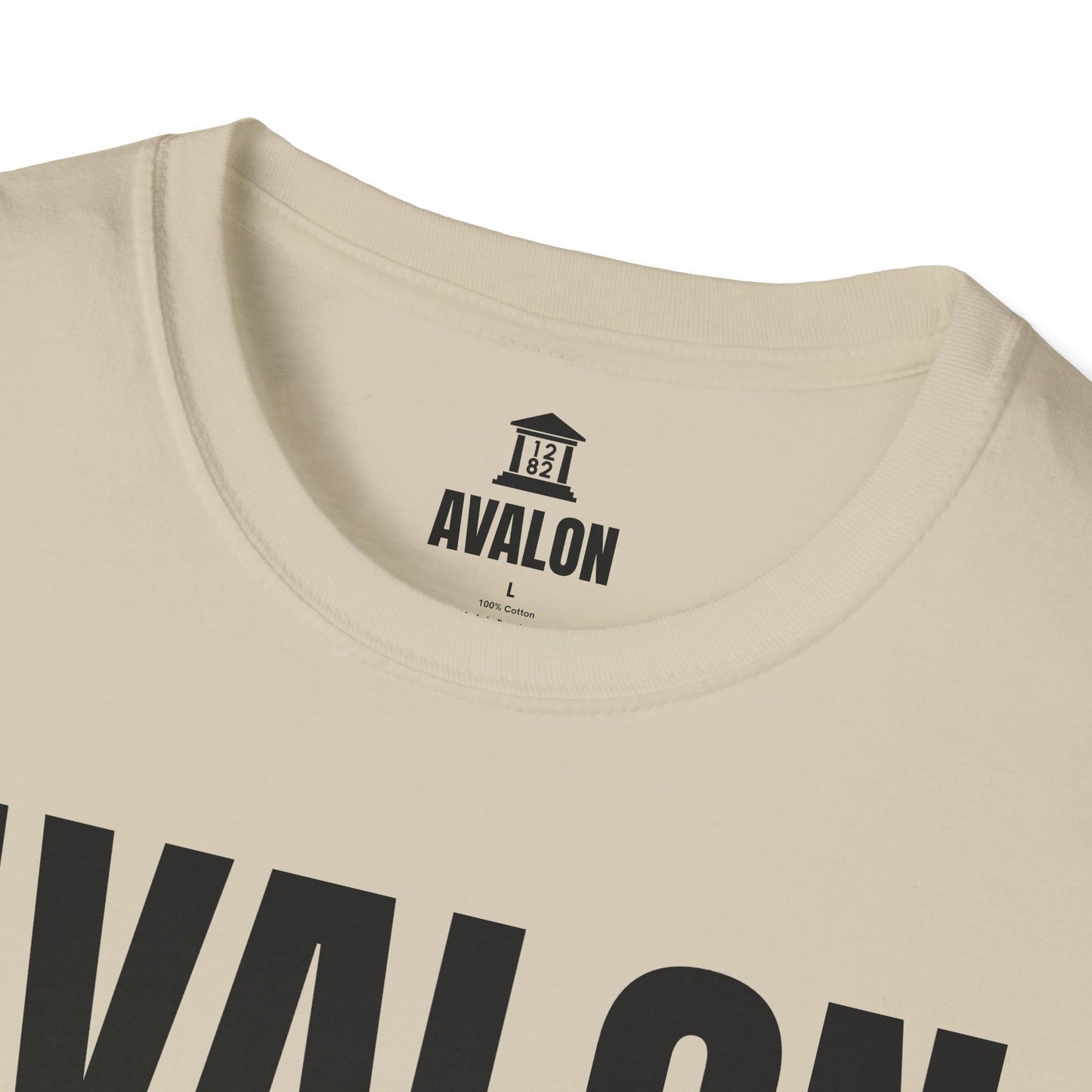 Blind Side Promo Shirt