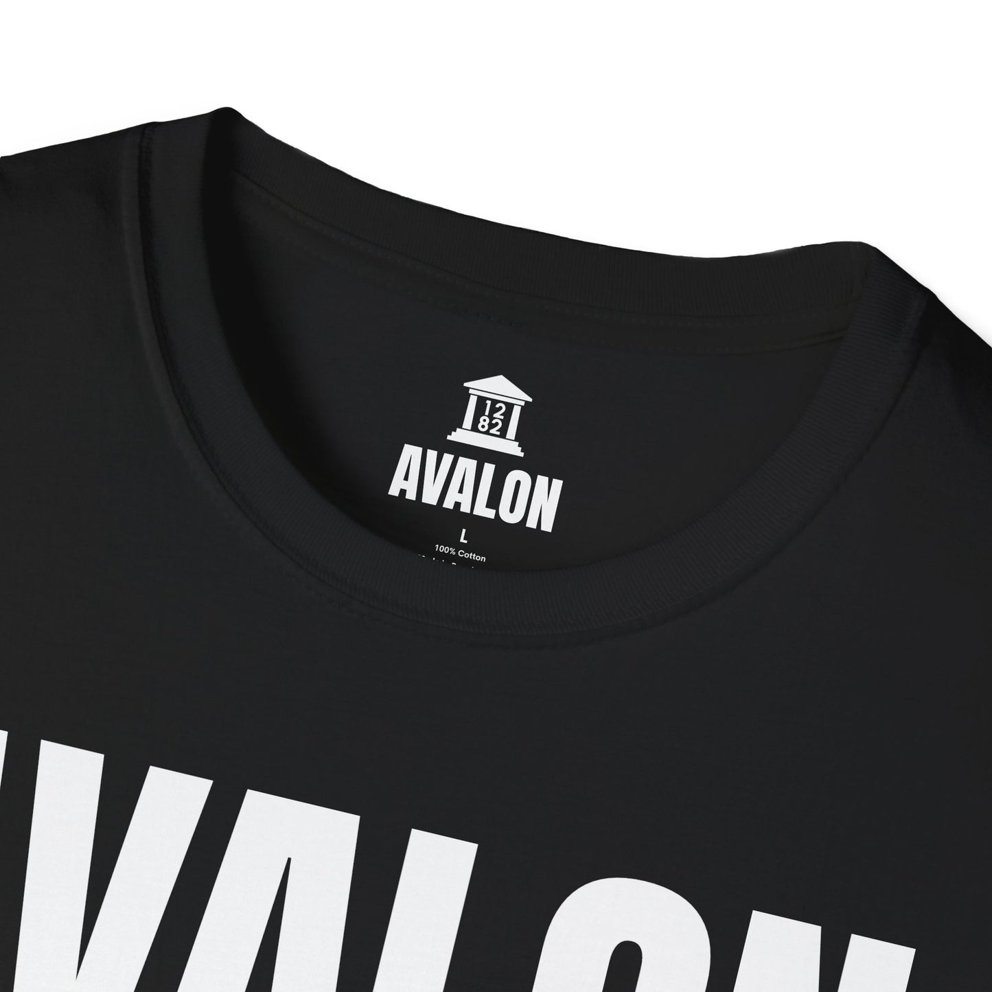 Blind Side Promo Shirt